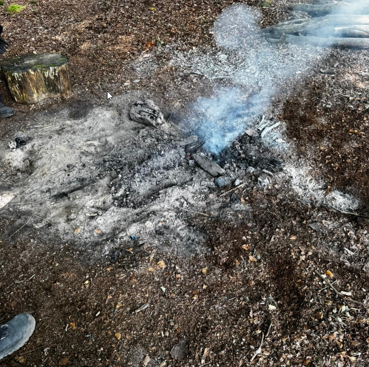 Mehr über den Artikel erfahren Unbeaufsichtigtes Lagerfeuer im Wald