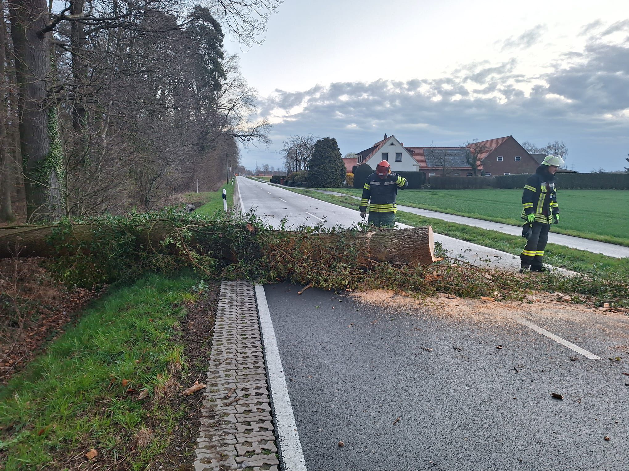 Du betrachtest gerade TH0 – Baum auf Straße